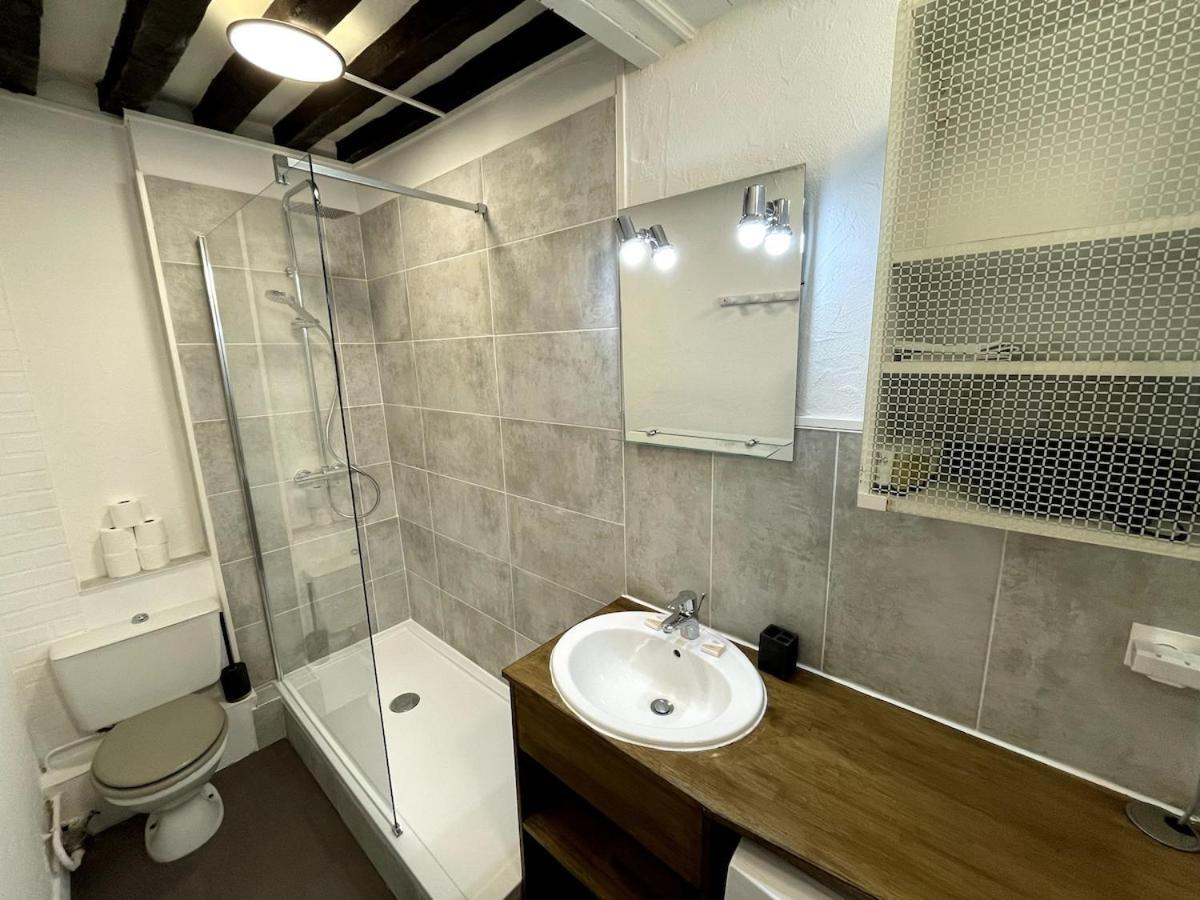 Spacieux De Charme En Hyper-centre Appartement *