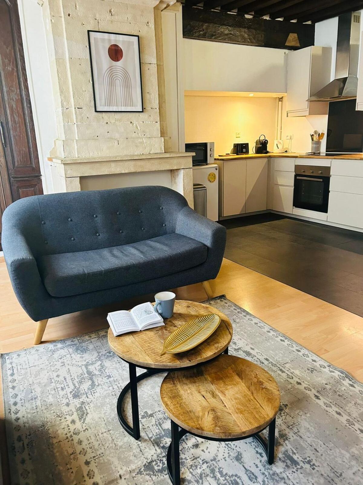 Appartement Spacieux De Charme En Hyper-centre